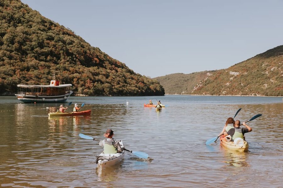 From Poreč: Lim Bay Sea Kayaking Day Trip - The swim stop at a small rocky beach