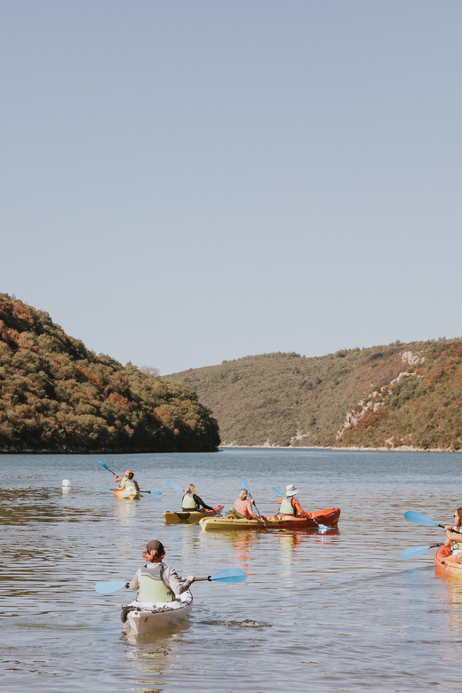 From Poreč: Lim Bay Sea Kayaking Day Trip - Meeting by Restaurant Fjord