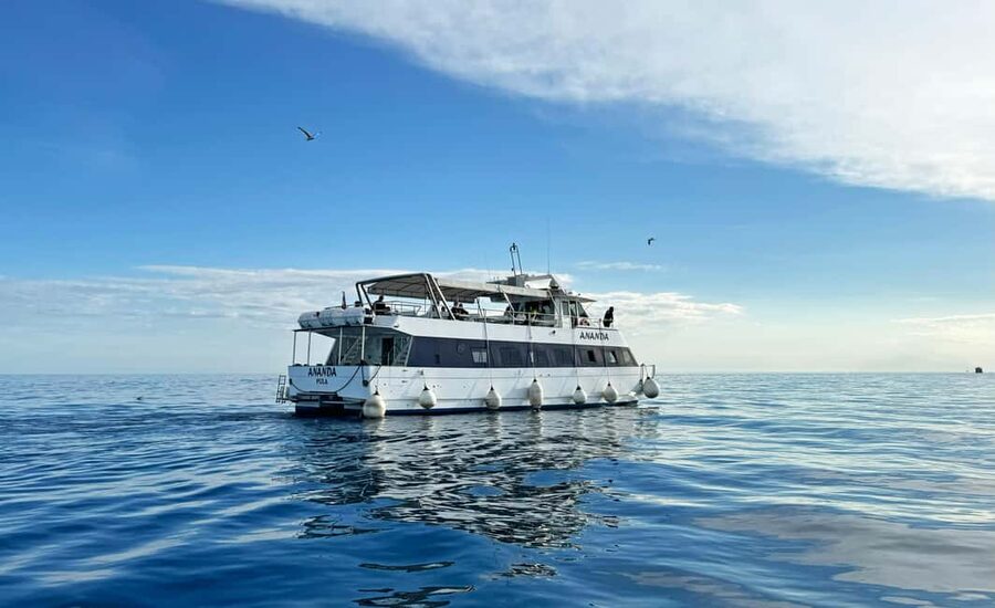 From Pula: Rovinj & NP Brijuni cruise with Red Island visit - Leaving Pula on the Ananda catamaran