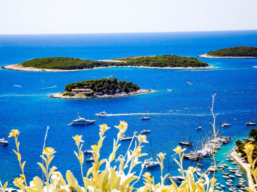 From Split: Blue Cave and Hvar Guided Tour by Luxury Boat - Who Should Book This Boat Tour