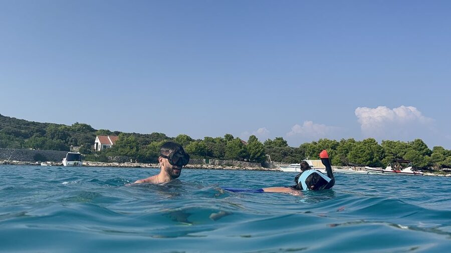 From Split: Blue Lagoon & 2 Islands half-day Private - Should you book the Blue Lagoon boat tour?
