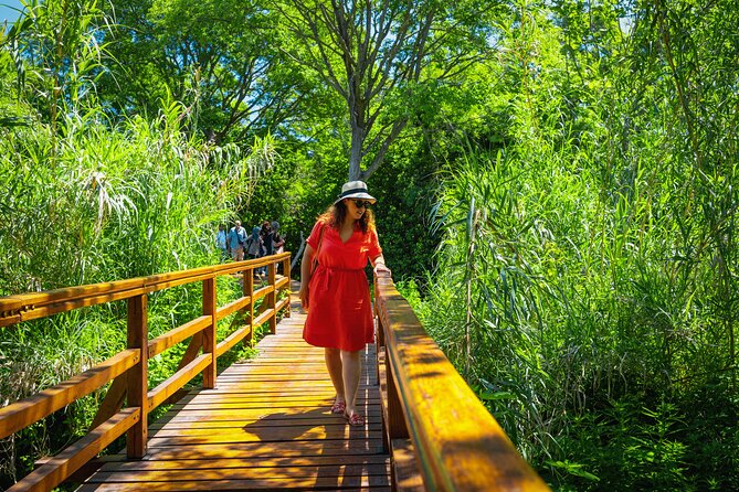 From Split: Krka Waterfalls Tour - Old watermills, museum displays, and hydroelectric history
