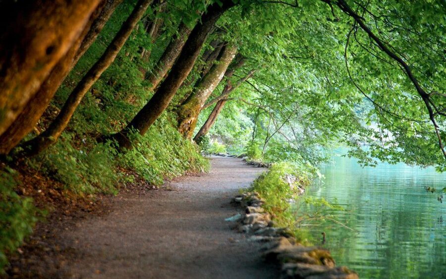 From Split or Trogir: Plitvice Lakes Guided Full-Day Tour - Why Plitvice Works as a Day Trip from Split or Trogir