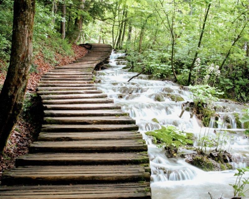 From Split or Trogir: Plitvice Lakes Guided Full-Day Tour - Should You Book the Plitvice Lakes Day Tour?