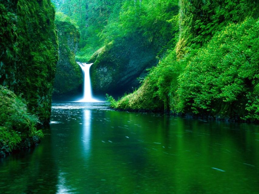 From Split or Trogir: Plitvice Lakes Private Tour - Who should book this day trip