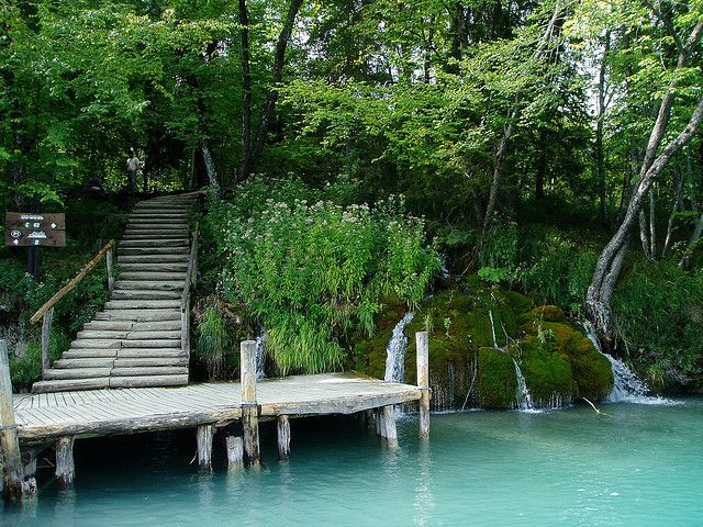 From Split or Trogir: Plitvice Lakes Private Tour - Free time, lunch, and the electric train