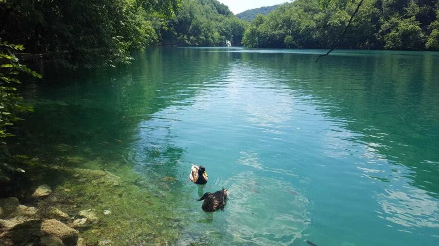 From Split or Trogir: Plitvice Lakes Trip with Entry Ticket - Guide quality and group size