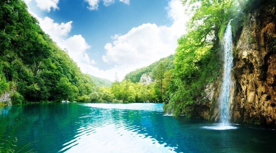 From Split: Plitvice Lakes Full-Day Trip - Upper lakes, wildlife, and time for your own photos