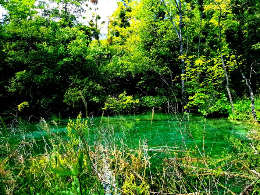 From Split: Plitvice Lakes Full-Day Trip - What the $57 price really covers