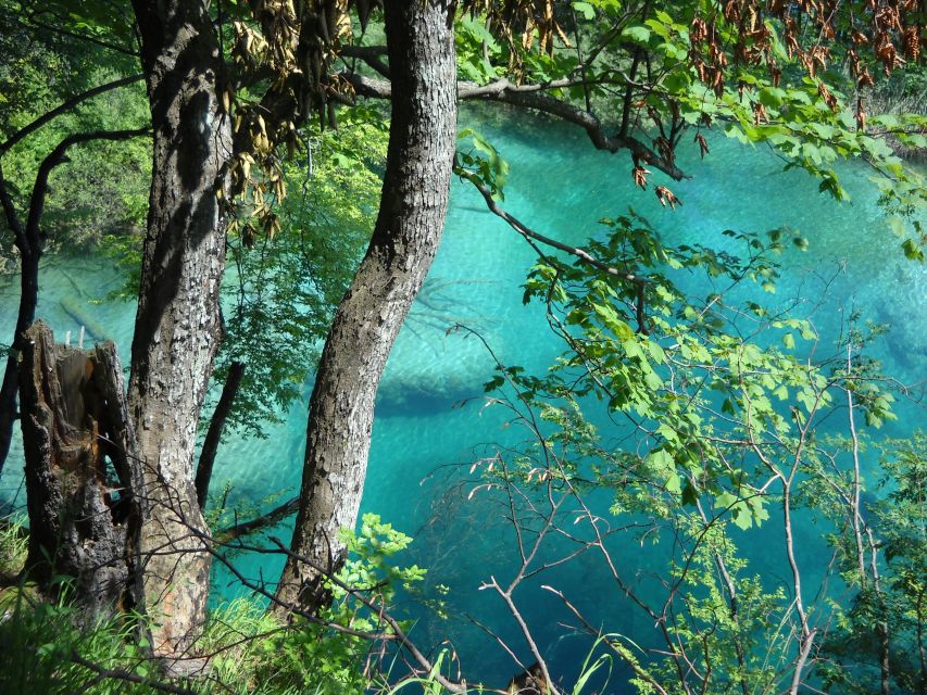 From Split: Plitvice Lakes Full-Day Trip - Who should book this Plitvice day trip