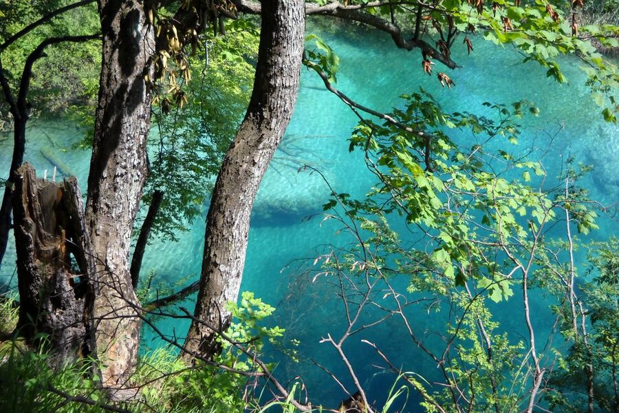 From Split: Plitvice Lakes Fully-Guided Day Tour - Key points to know before booking