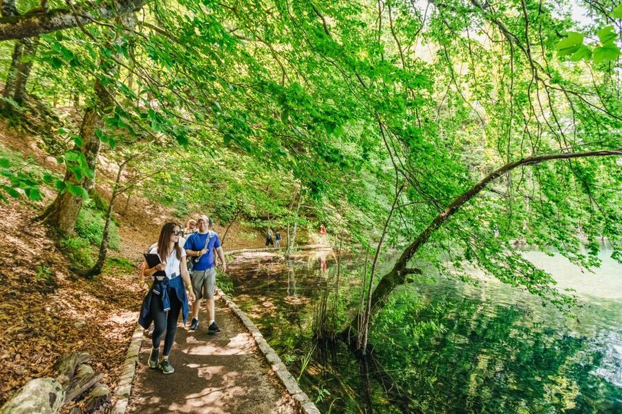 From Split: Plitvice Lakes National Park Guided Tour - What the guide adds
