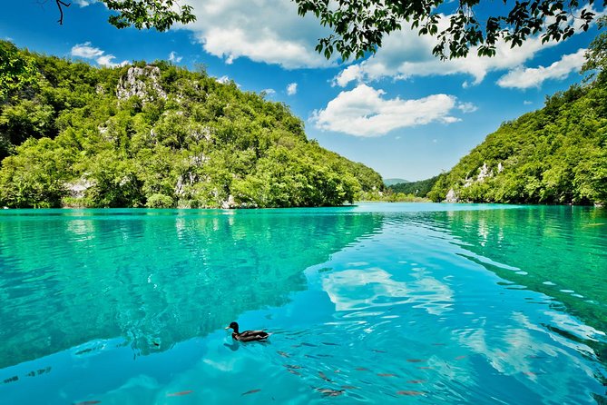 From Split: Plitvice Lakes National Park Guided Tour - What the $78.60 price really covers