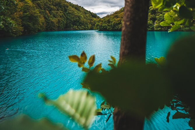 From Split: Plitvice Lakes - Private tour - Guides, drivers, and the value of a private day