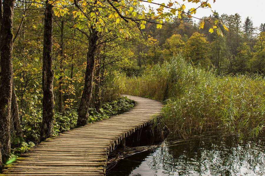 From Split: Private Tour to Plitvice Lakes National Park - Who should book this private excursion