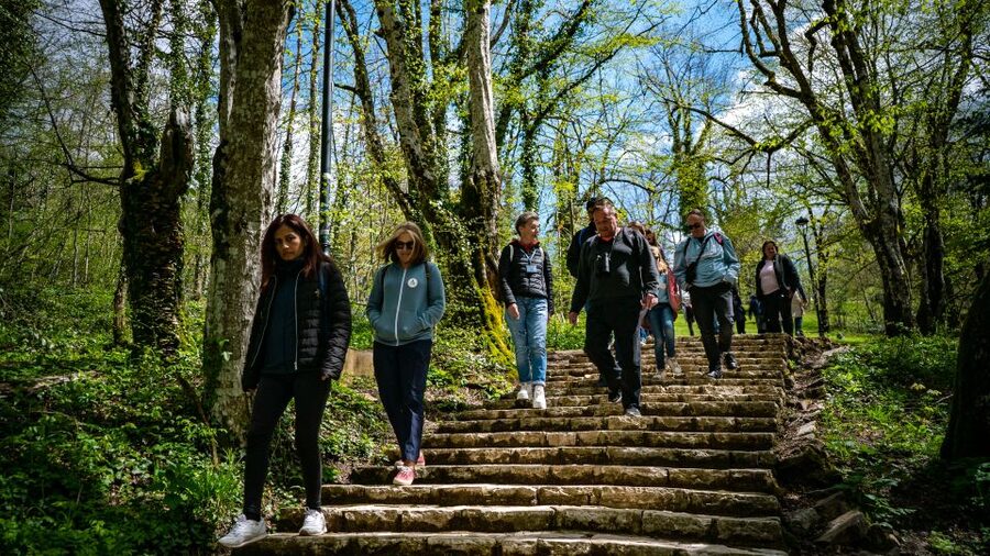 From Split/Trogir/Omiš: Plitvice Lakes Guided Group Tour - The guide can make or break a large group