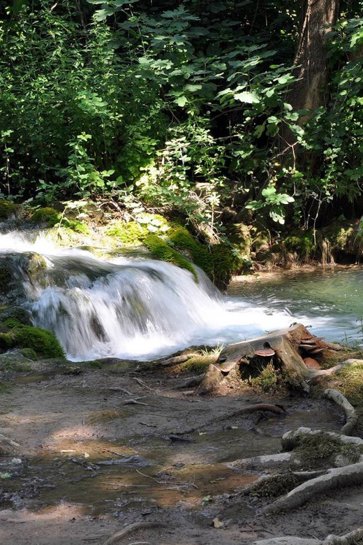 From Trogir, Seget & Okrug: Krka Waterfalls Gastro Tour - Why this Krka day trip works