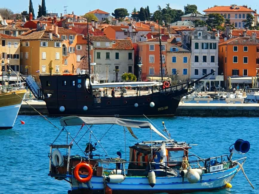 From Vrsar: Boat Trip to Rovinj and Lim Fjord - Should you book the Vrsar to Rovinj and Lim Fjord trip?
