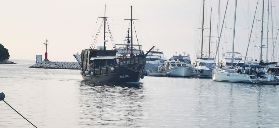 From Vrsar: Boat Trip to Rovinj and Lim Fjord - Lim Fjord and the pirate cave stop
