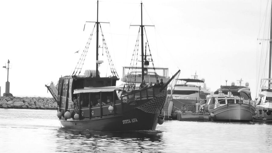 From Vrsar: Boat Trip to Rovinj and Lim Fjord - Who should book this outing