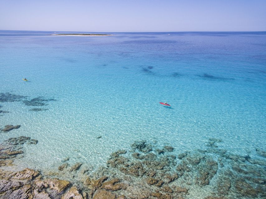From Zadar: Dugi Otok Half-Day Kayak Adventure - Key points to know before booking