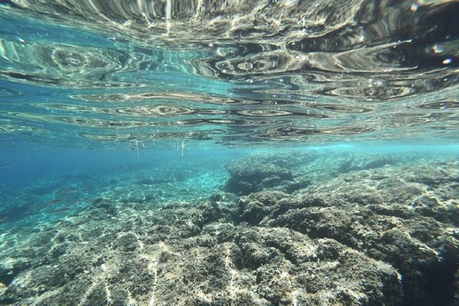 From Zadar: Half/Full Day Sailing Tour - Key points to know before booking