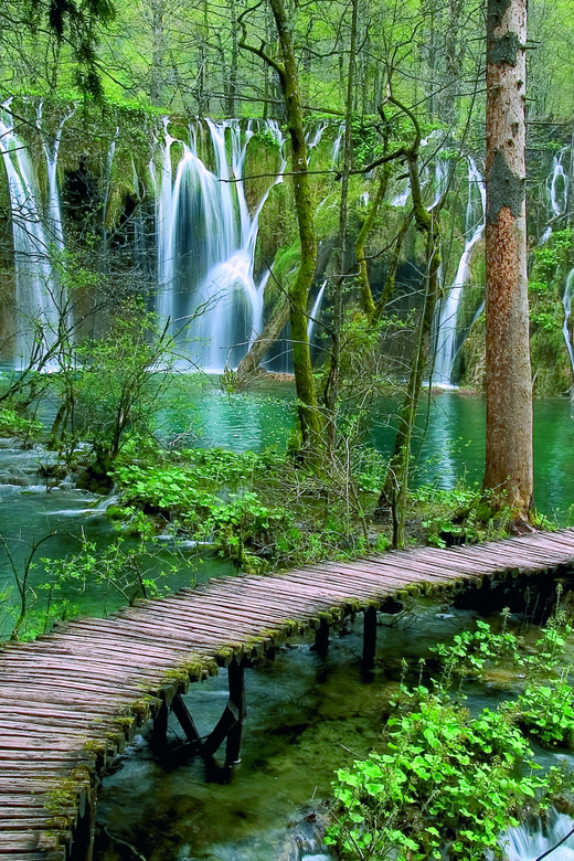 From Zadar: Plitvice Lakes Day Tour - Meeting in Zadar and riding to the park