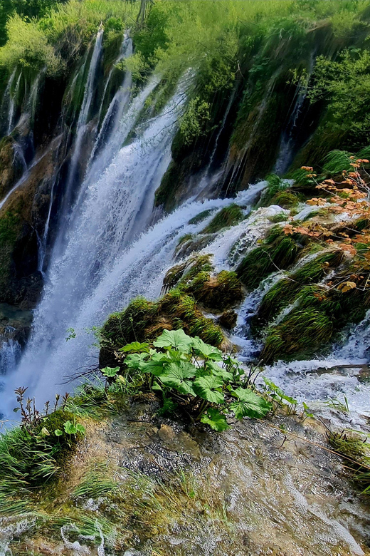 From Zadar: Plitvice Lakes Day Trip with Guide and Boat Tour - Entering the park without the main ticket queue