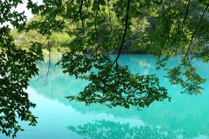 From Zadar: Plitvice Lakes with Boat Ride & Zadar Old town tour - Who should book this day trip?