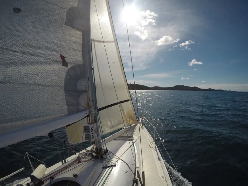 From Zadar: Private Half Day Sailing Tour - Morning or afternoon: which departure works best?
