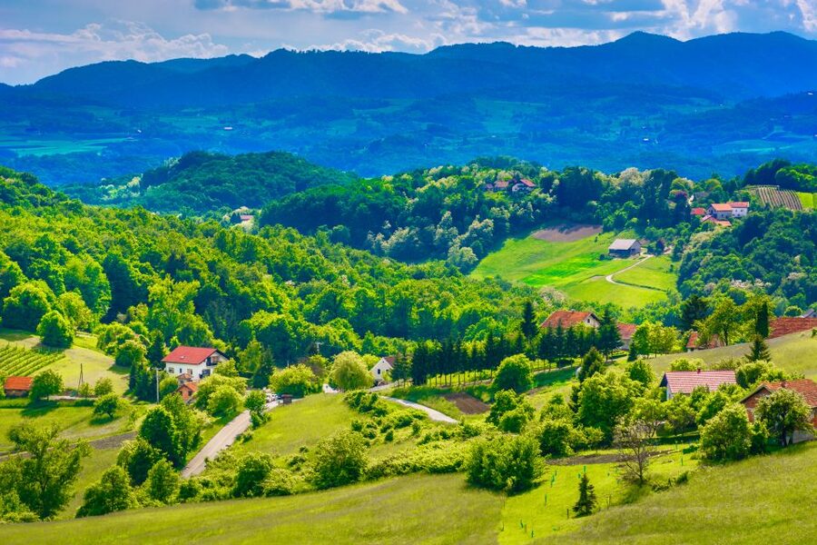From Zagreb: Fairytale Castle & Wine Tasting & Lunch - Four wines at a hillside winery