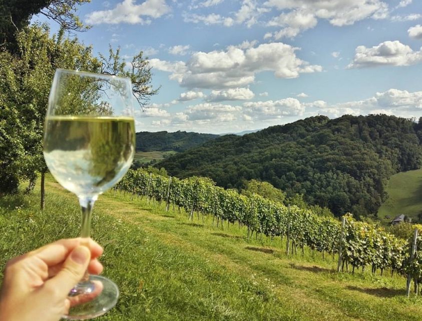From Zagreb: Fairytale Castle & Wine Tasting & Lunch - The road through Croatian countryside