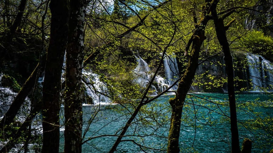 From Zagreb: Plitvice Lakes National Park Full-Day Tour - Group size, guiding, and the human side of the day