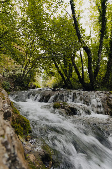 From Zagreb to Plitvice Lakes and Rastoke - Private day tour - Price, park tickets, and overall value