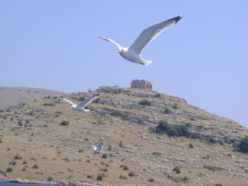 Full-day boat trip from Zadar and Sukošan to Kornati NP - Who should book this Kornati excursion
