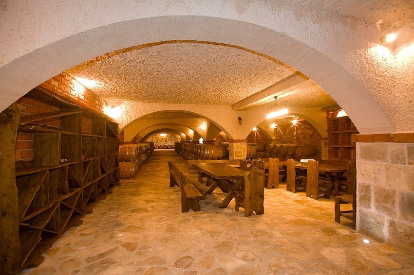 Full-Day Peljesac Wine Tour - Walking through the Dingač vineyards