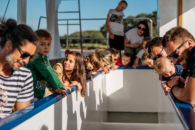 Glass boat tour Fažana with swimming stop - Returning along Fažana’s waterfront