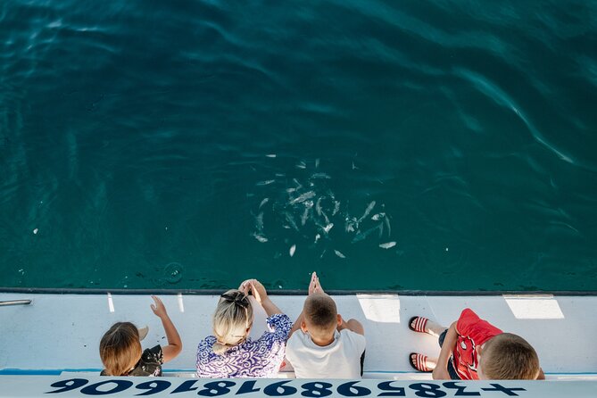 Glass boat tour Fažana with swimming stop - Timing, meeting point, and what to bring