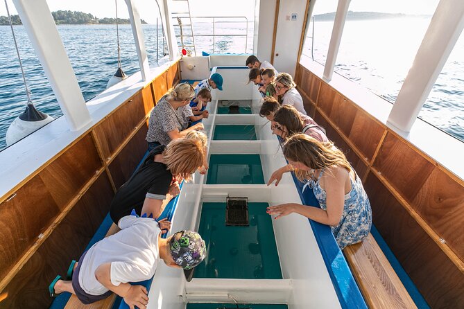 Glass boat tour Fažana with swimming stop - Two hours on St. Jerolim