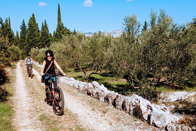 Half-Day Bike Tour in Lumbarda with Wine Tasting - Lumbarda’s Grk vineyards and the wine table