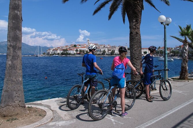 Half-Day Bike Tour in Lumbarda with Wine Tasting - What the $111.20 price includes