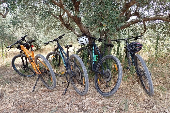 Half-Day Bike Tour in Lumbarda with Wine Tasting - How demanding is the ride?