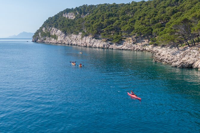 Half-Day Small-Group Kayaking Tour in Makarska - Choosing morning or evening