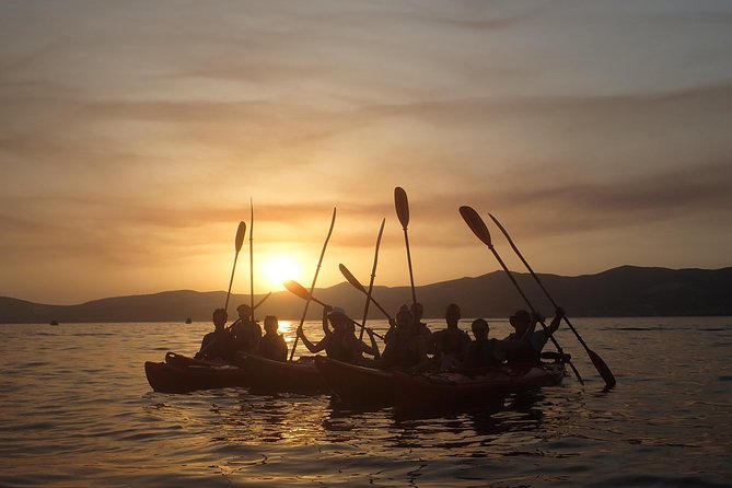 Half-Day Split Sea Kayak Adventure - What to bring and how to prepare