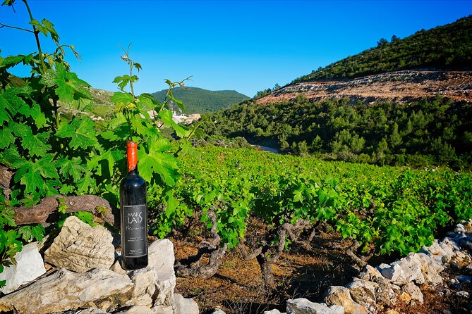 Half Day Tour - Deep and Dark Red Wine of Pelješac - Mali Ston and the oyster stop
