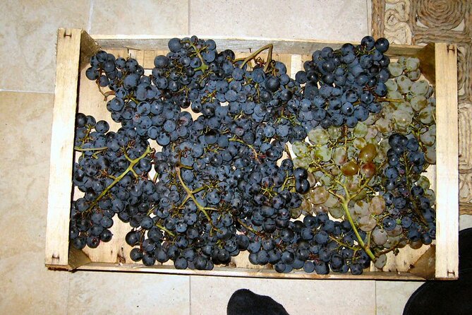 Half Day Tour - Deep and Dark Red Wine of Pelješac - The private vehicle and pace