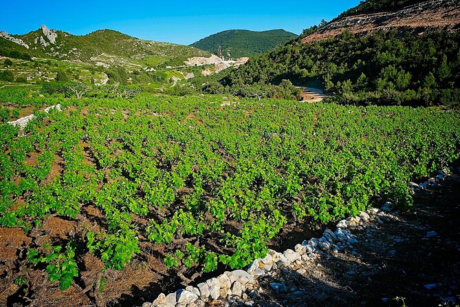 Half Day Tour - Deep and Dark Red Wine of Pelješac - Ston: walls, salt, and a useful first stop