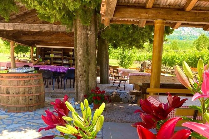Half-Day Wine and Food Tasting from Dubrovnik - A family winery with 1540 roots