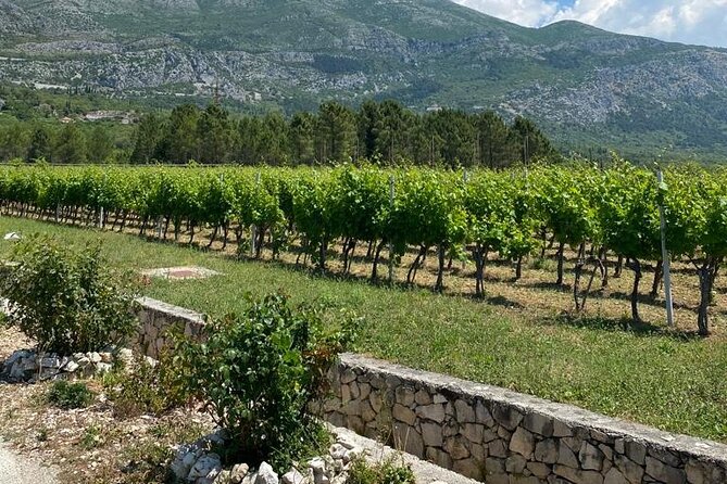 Half-Day Wine and Food Tasting from Dubrovnik - What makes the food pairing worthwhile