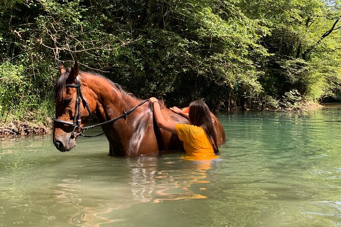 Horseback Riding Across River Ljuta with transport - What the transport option adds